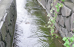 ナチュL型水路